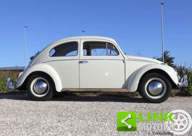 VOLKSWAGEN Maggiolino usata 3