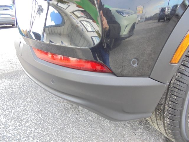 FORD Mustang Mach-E usata, con Bracciolo