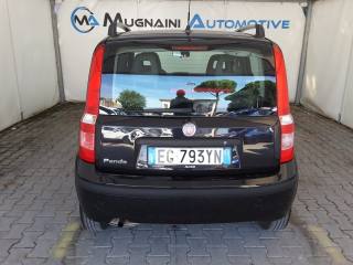 FIAT Panda usata 10
