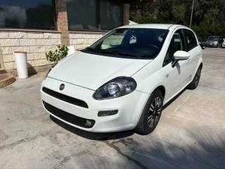 FIAT Punto 1.3 MJT II 85 CV Street