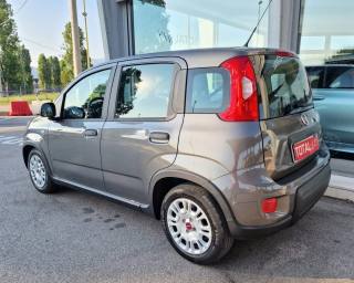 FIAT Panda usata, con Chiusura centralizzata