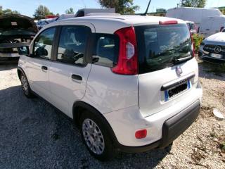 FIAT Panda usata, con Airbag Passeggero