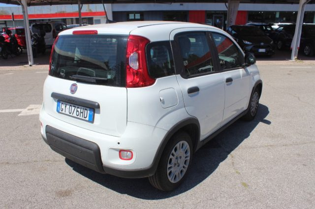 FIAT Panda usata 17