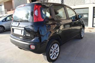 FIAT Panda usata 14