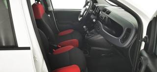 FIAT Panda usata 39