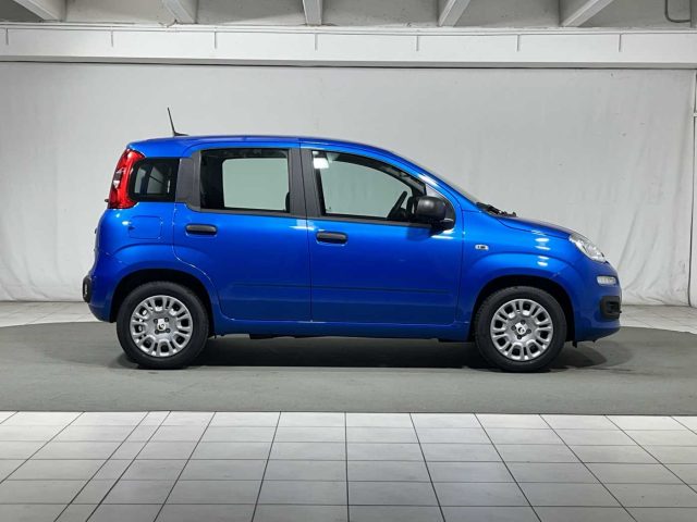 FIAT Panda usata, con Climatizzatore