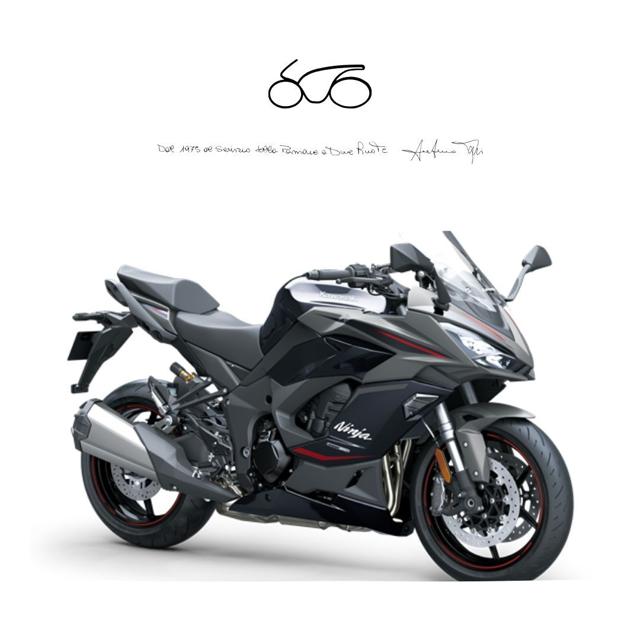 KAWASAKI Ninja 1100SX SE usata 0