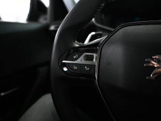 PEUGEOT 3008 usata, con Vetri oscurati
