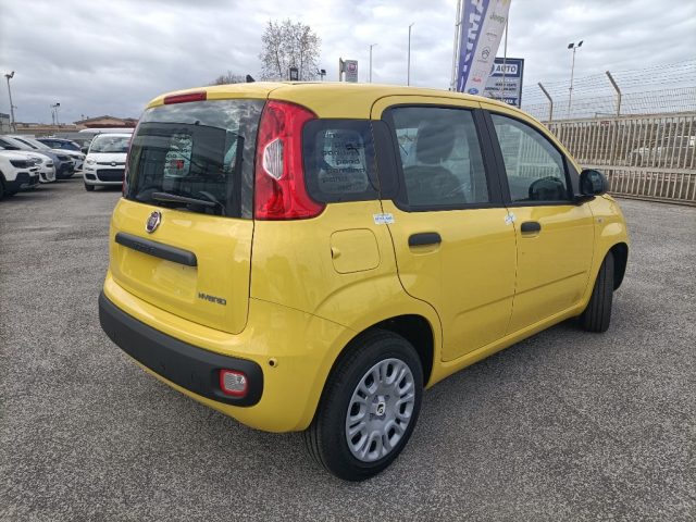 FIAT Panda usata, con Controllo trazione