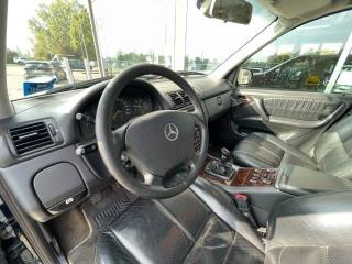 MERCEDES-BENZ ML 270 usata, con Fendinebbia