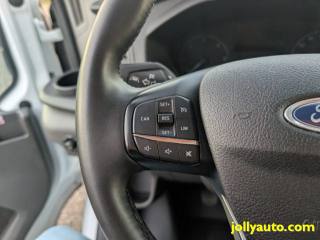 FORD Transit usata 20