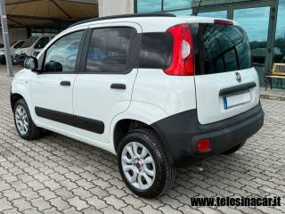 FIAT Panda usata, con Immobilizzatore elettronico