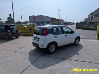 FIAT Panda usata, con Antifurto