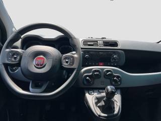 FIAT Panda usata 7