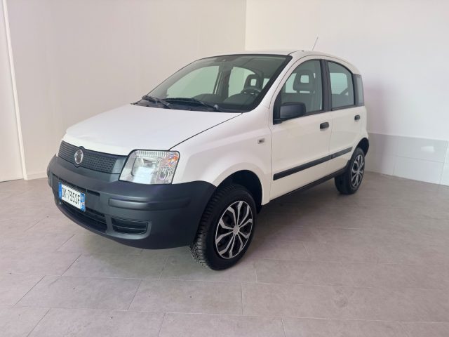 FIAT Panda usata 2