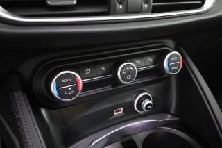 ALFA ROMEO Stelvio usata 11