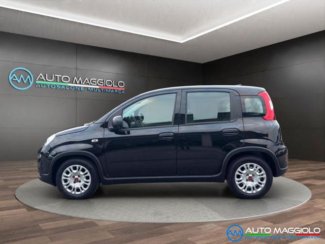 FIAT Panda usata, con Chiusura centralizzata