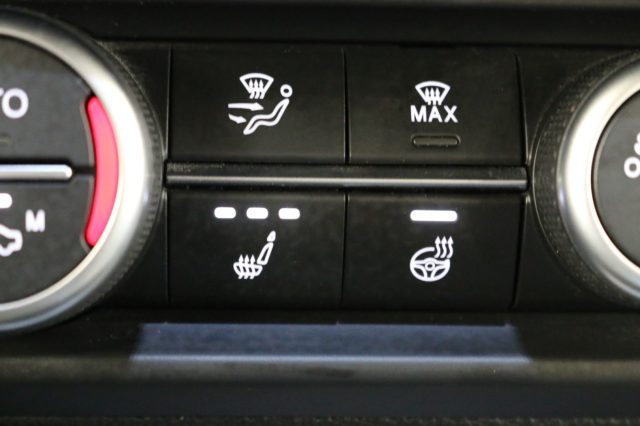 ALFA ROMEO Stelvio usata, con ESP