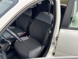 FIAT Panda usata, con Fendinebbia
