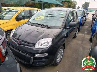 FIAT Panda usata, con Airbag