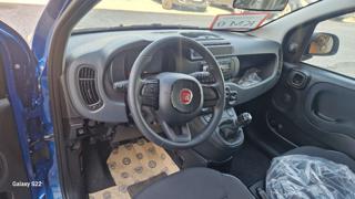 FIAT Panda usata, con Controllo trazione