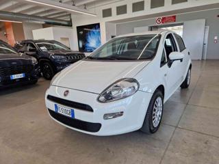 FIAT Punto 1.2 8V 5 porte Young