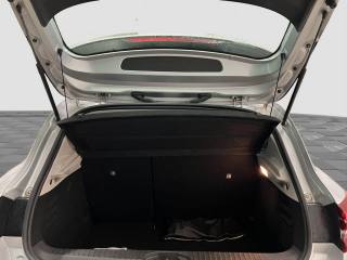 RENAULT Clio usata 13