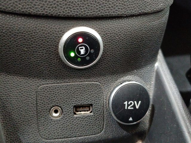 FORD Fiesta usata 20