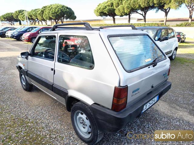 FIAT Panda usata 6