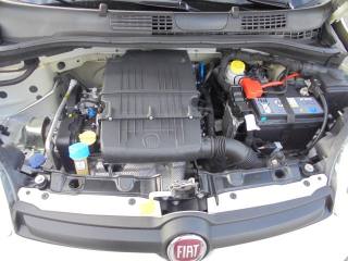 FIAT Panda usata 27