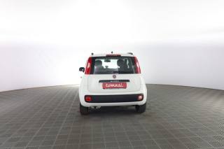 FIAT Panda usata 4
