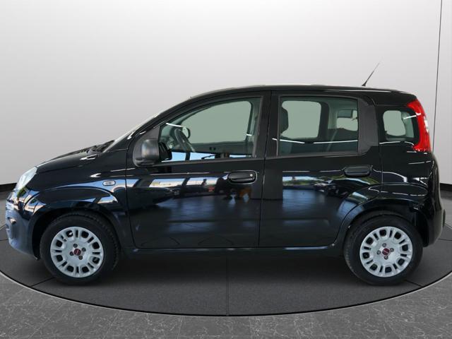 FIAT Panda usata 18