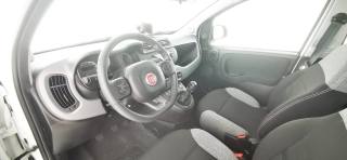 FIAT Panda usata 59