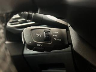 PEUGEOT 3008 usata, con Servosterzo