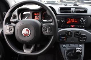 FIAT Panda usata, con Controllo trazione