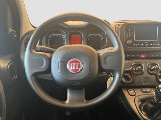 FIAT Panda usata 12