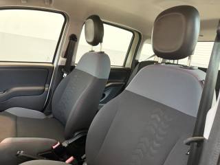 FIAT Panda usata 11