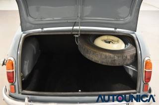 FIAT 1100 usata 46