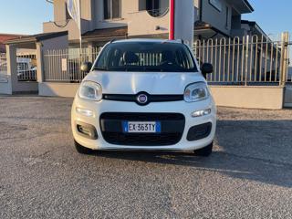 FIAT Panda 1.3 MJT S&S Young