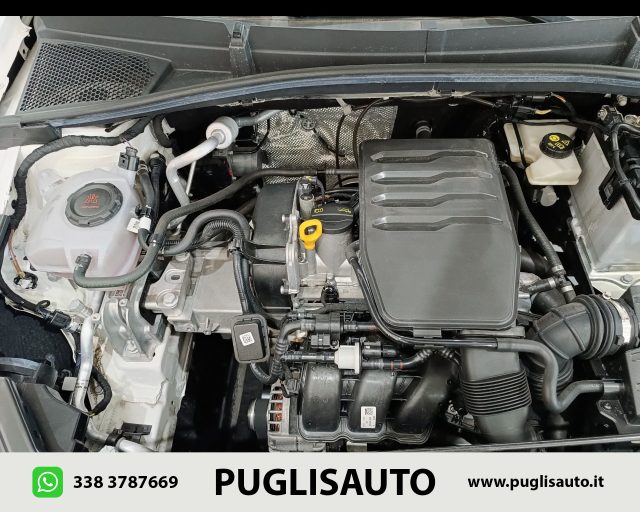 SKODA Fabia usata 22