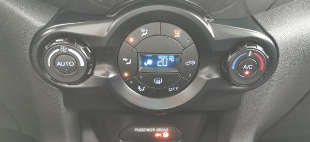 FORD EcoSport usata, con Fendinebbia
