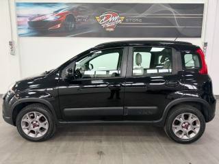 FIAT Panda usata, con Controllo trazione