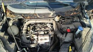 FORD EcoSport usata, con Fendinebbia