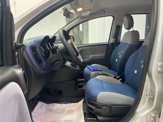 FIAT Panda usata, con Fendinebbia
