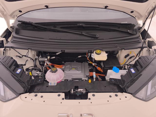 BYD Dolphin Surf usata, con Isofix