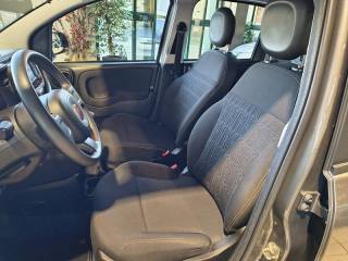 FIAT Panda usata, con Cerchi in lega