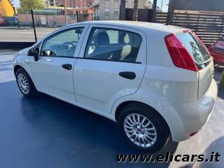FIAT Punto usata, con Servosterzo