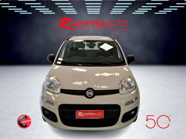 FIAT Panda usata 2