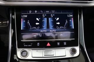 AUDI Q8 usata, con Servosterzo