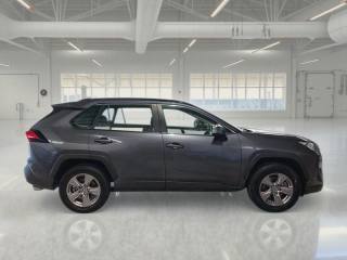 TOYOTA RAV 4 MY23 usata, con Autoradio